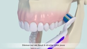 Brossage des dents selon la méthode B R O S